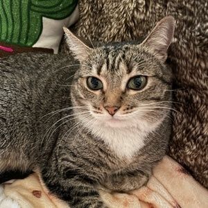 Meet your Posher, Kaitlin